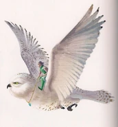 23c3e48690ee13c0ba870d4e4168613f.jpg (59 KB)