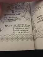 Etymology description in the American print