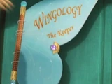 Wingology