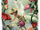 Garden-talent