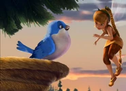 Fawn bluebird.jpg (88 KB) Fawn teaching a bluebird to fly