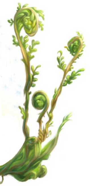 Fern, Wiki