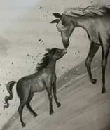 Cloud and Dewdrop from Up the Misty Peak