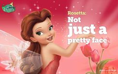 Disney Fairies Rosetta Not just a pretty face