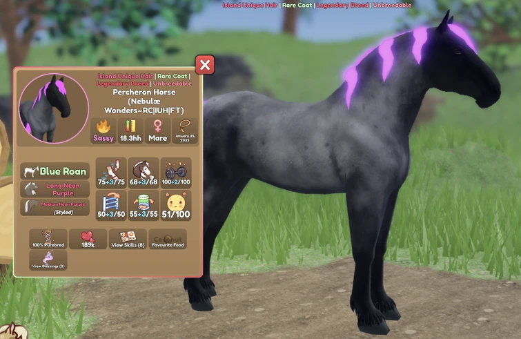 Peggy Perfect Balayette « Wild Mustang », mélange de Cheveux 2