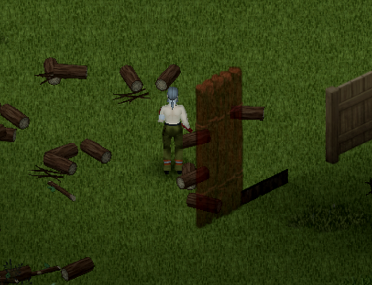 Project Zomboid