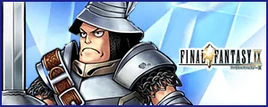 Steiner banner