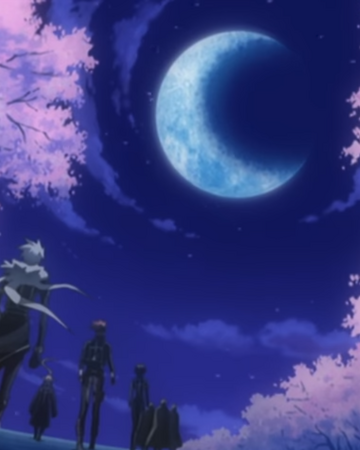 Doubt Trust D Gray Man Wiki Fandom