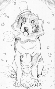 Allen (dog) novel