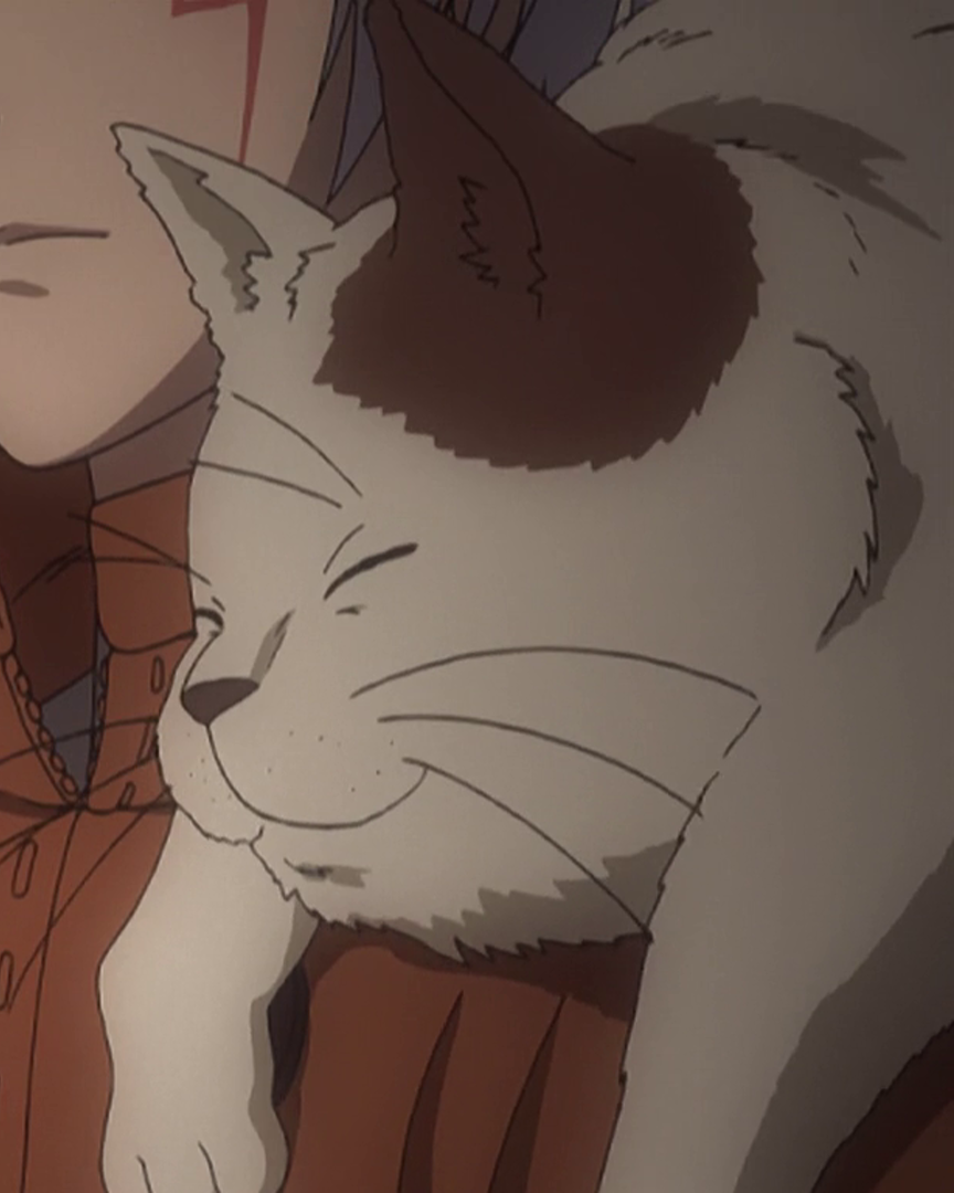 Top 10 Anime Cat Boy Best List