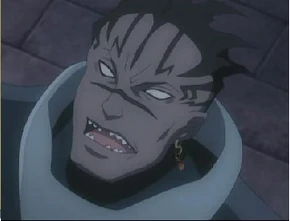 Winters Socalo Wiki D Gray Man Fandom