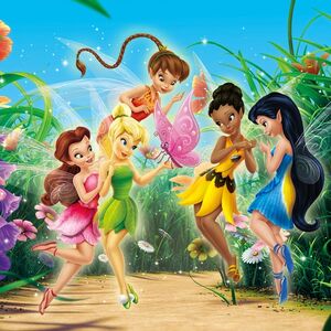 Featured image of post Tinkerbell Hadas Nombres Viaja con tinker bell y sus amigas hadas hasta el prohibido mundo del misterioso bosque del invierno