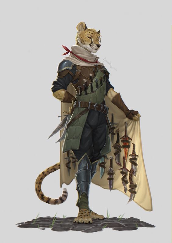 DnD Tabaxi 5e race guide – names, traits, and class ideas