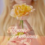 Flower 4 Seasons