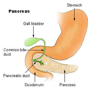 Diabetes - Wikipedia