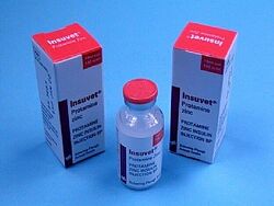 Protamine Zinc Insulin (PZI) is suspended by using more protamine in the formula than for NPH/Isophane insulin.