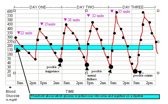 what should a dogs blood sugar level be