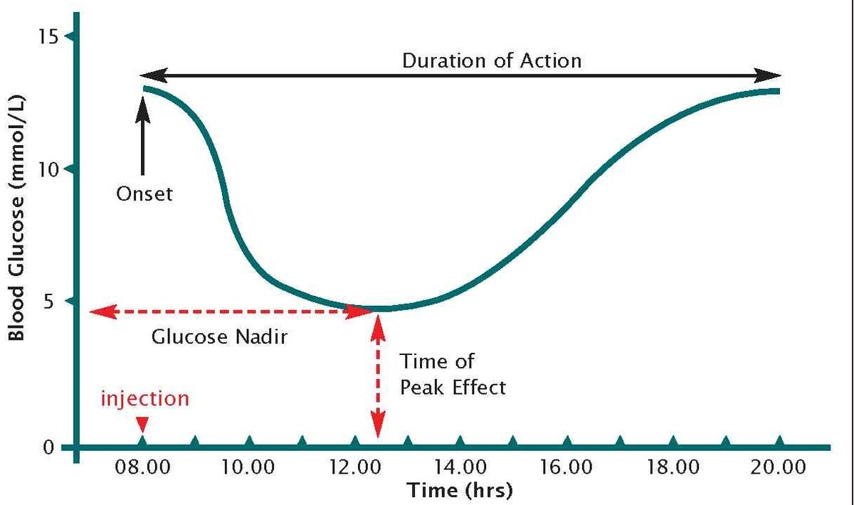 Peak эффект. Glucose curve. Инсулин плагин. Glucose normal Level in CSF.