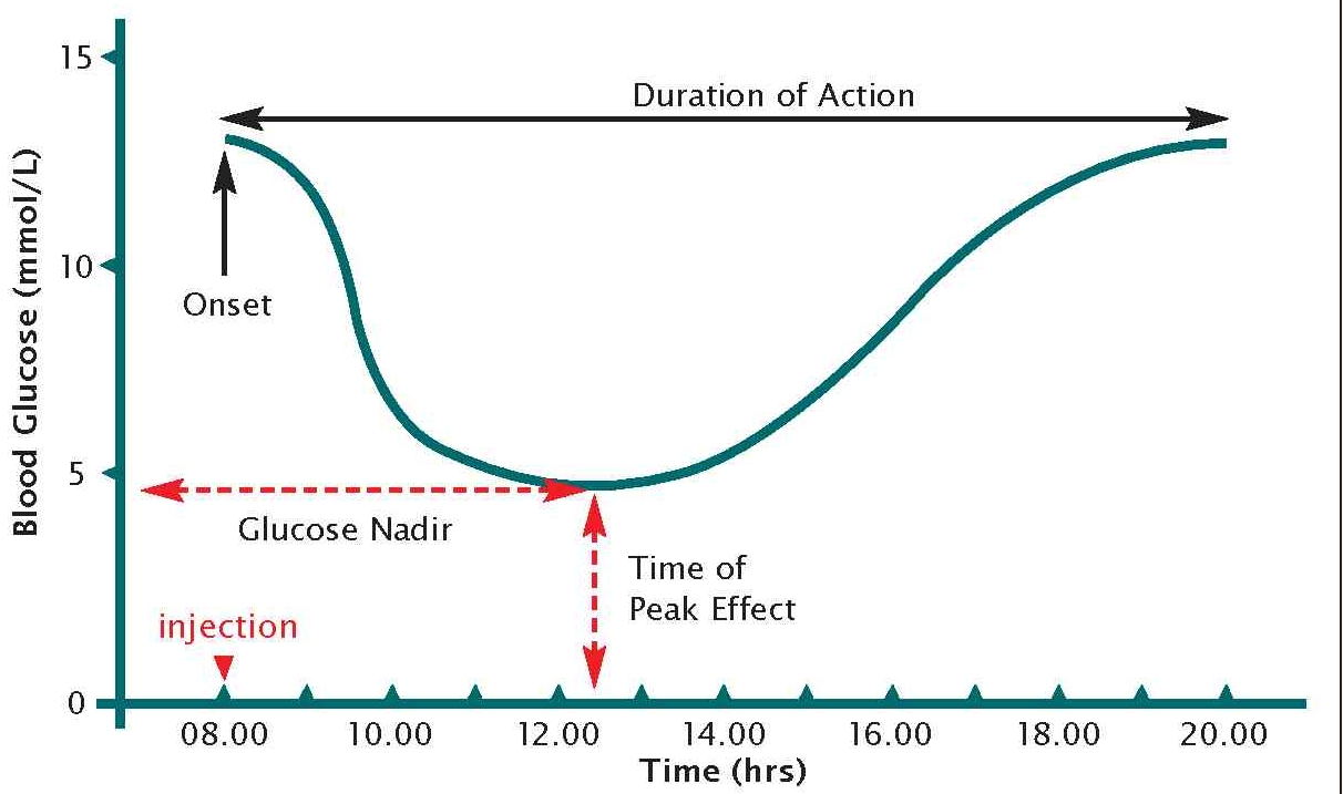 Время действия 2. Peak эффект. Glucose curve. Инсулин плагин. Тресиба график накопления.