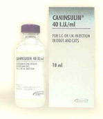 Caninsulin