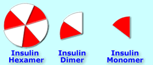 Insulin hex di mon