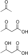 Ketone bodies