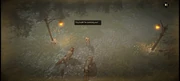 He has been ambushed by wolves