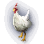 Cucco icon.png