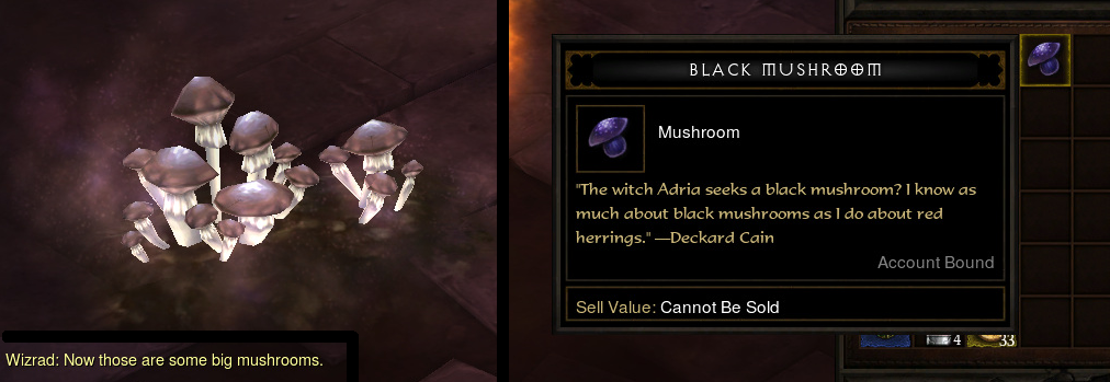 Black Mushroom Diablo Wiki Fandom