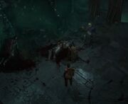 VigoWandererNeyrelleGrendan