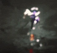 Wrath of the Brawler