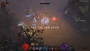 NotTheCowLevel DiabloIII Level