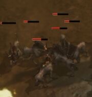 Hellhounds DI