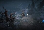 Dark Wood DI