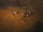Bone Spear (Diablo III)