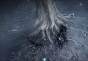 Tree of Inifuss