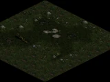 Black Marsh