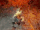 Bone Armor (Diablo Immortal)
