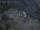 Leap (Diablo IV)