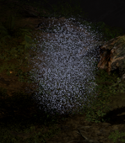Plague Bugs (Resurrected)