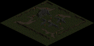 Dark Wood Ruin