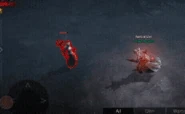 A Bloodsworn Priestess attacks an adventurer