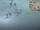 Serac Rapture