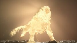 Spirit