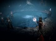 Untameable Wilds