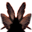 Fiacla-Géar (Wings) icon.png