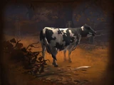 Cow