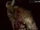 Goatman (Diablo II)