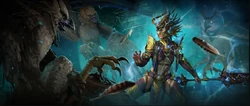 Cosmetic artwork