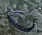 Marafex